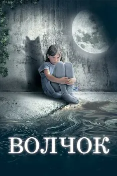 Волчок (2009) Волчок (2009)