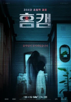 Домашняя камера (2025)