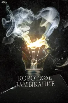 Постер Короткое замыкание (2009)
