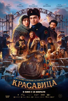 Постер Красавица (2026)