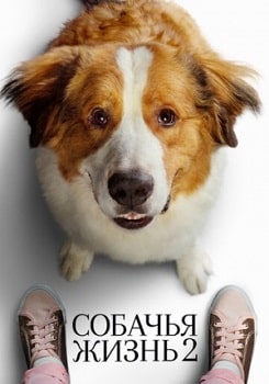 Постер Собачья жизнь 2