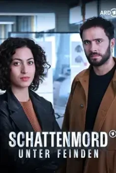 Постер Убийство в тени: Среди врагов (2025)