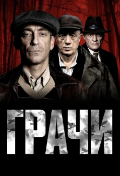Постер Грачи (2026)