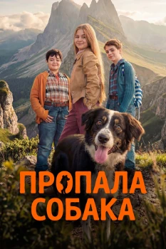 Постер Пропала собака (2025)