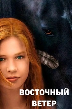 Постер Восточный ветер (2013)