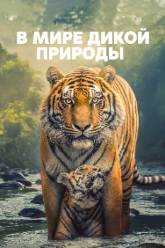 В мире дикой природы (2025)