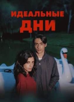 Постер Идеальные дни (2025)