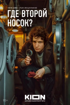 Постер Где второй носок? (2024)
